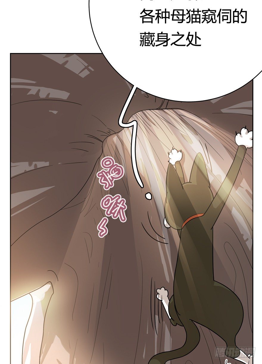 第25爪 女王大人（上）-第25话