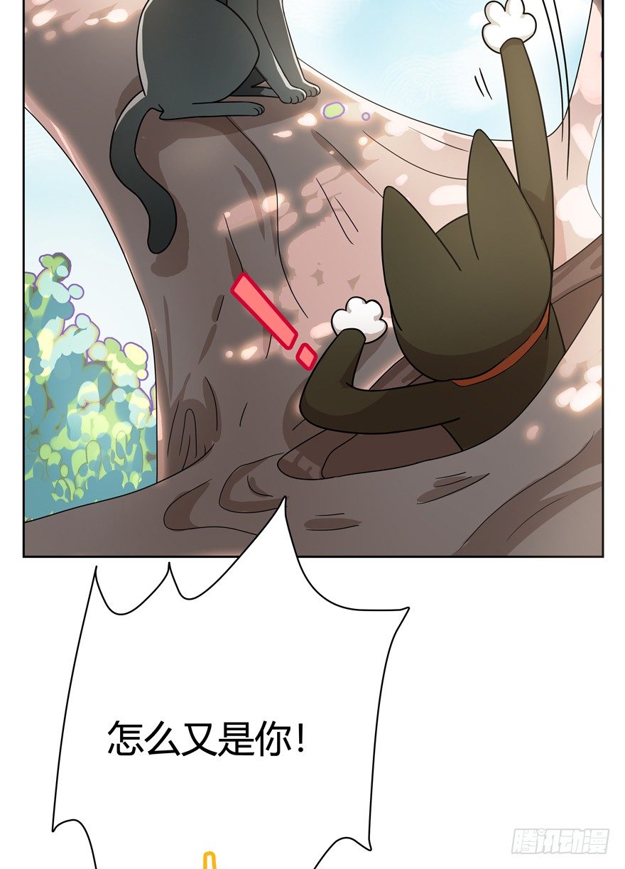 第25爪 女王大人（上）-第25话