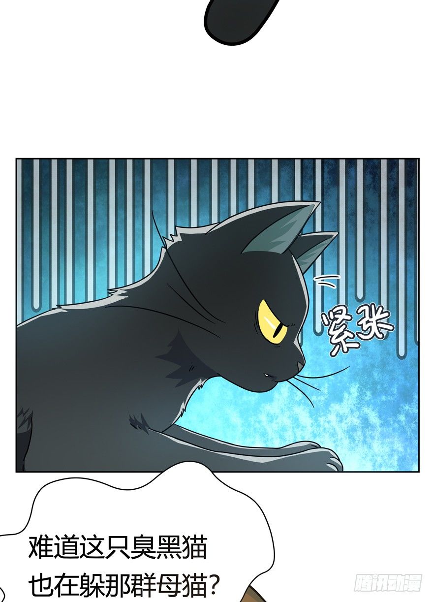 第25爪 女王大人（上）-第25话