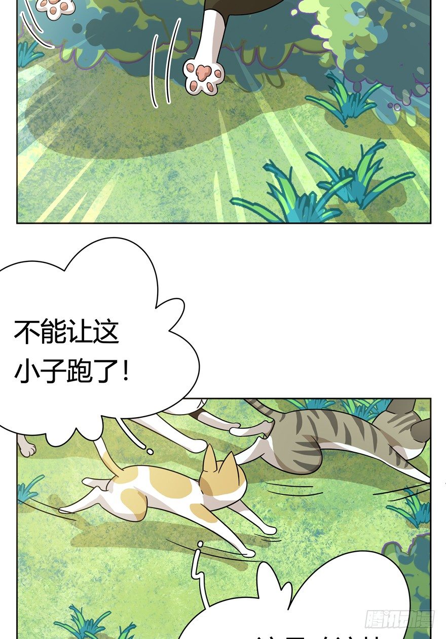 第25爪 女王大人（上）-第25话