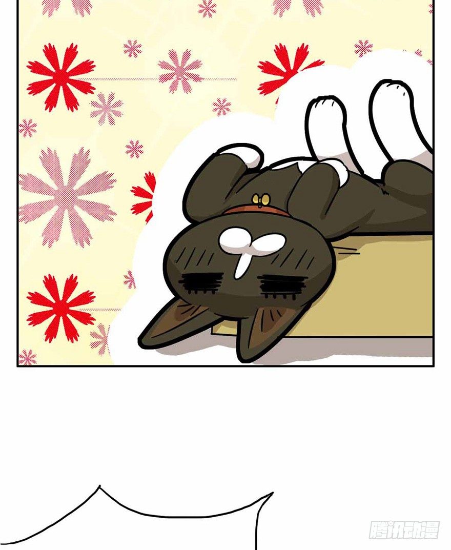 第27爪 猫之结界-第27话