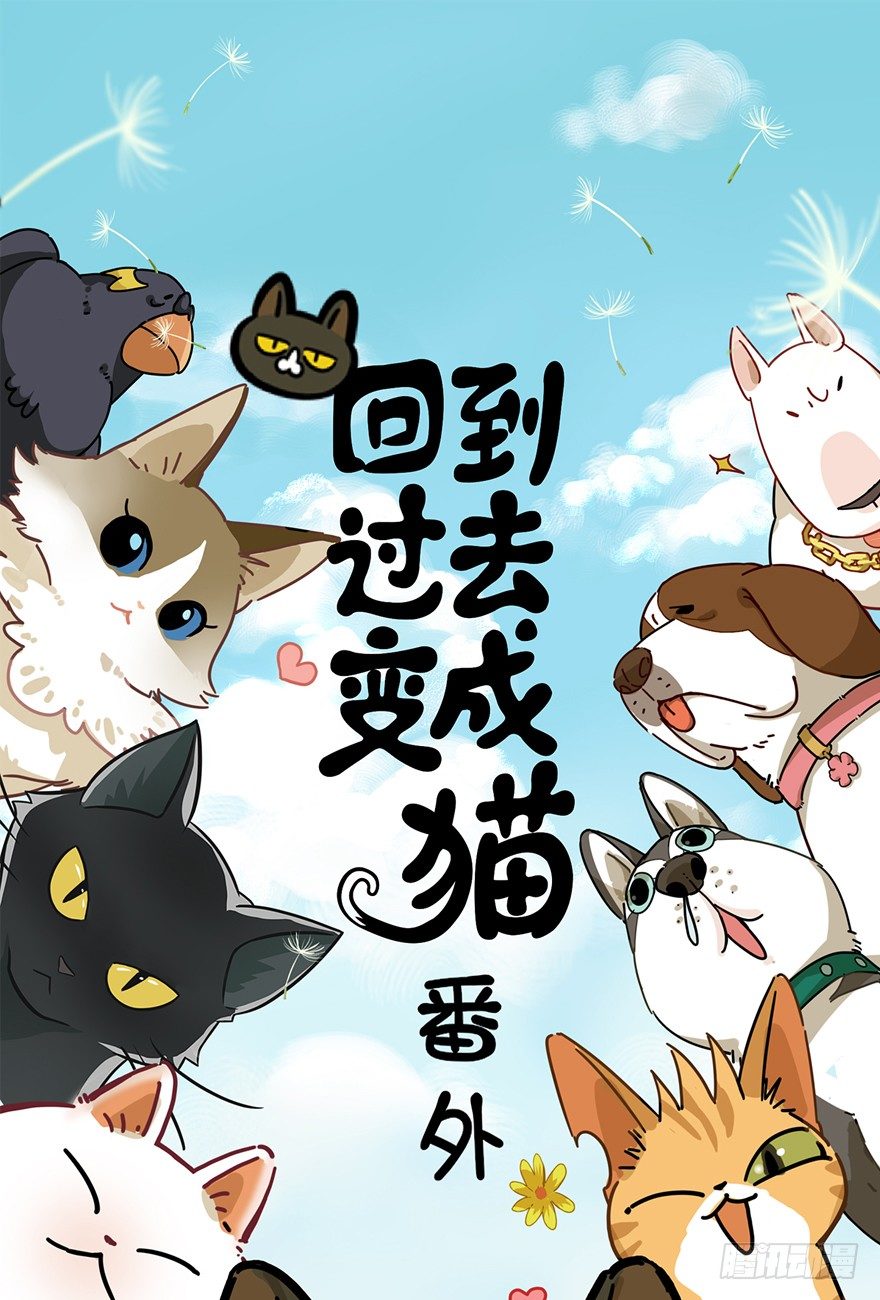 回到过去变成猫外传 - 第29爪 猫圈鄙视链（下） - 1