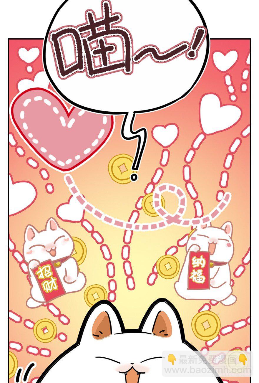 第29爪 猫圈鄙视链（下）-第29话