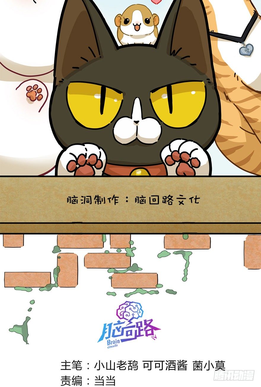 第29爪 猫圈鄙视链（下）-第29话