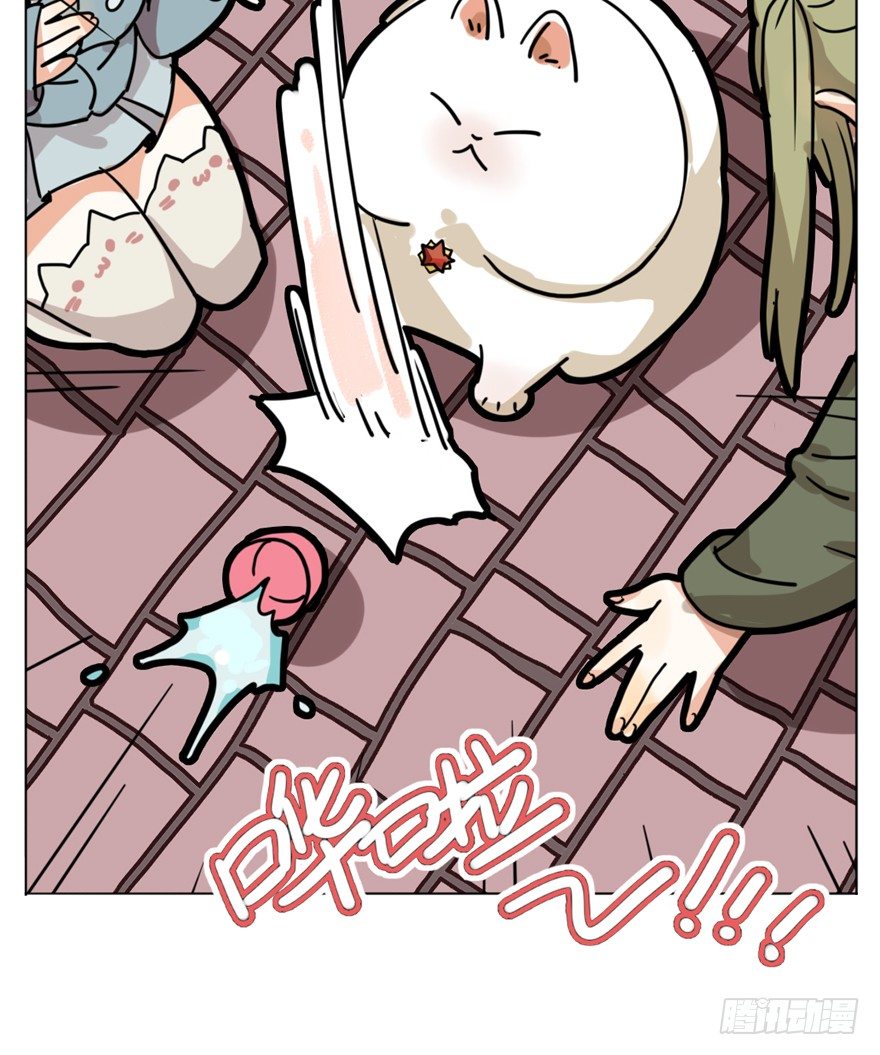 第29爪 猫圈鄙视链（下）-第29话