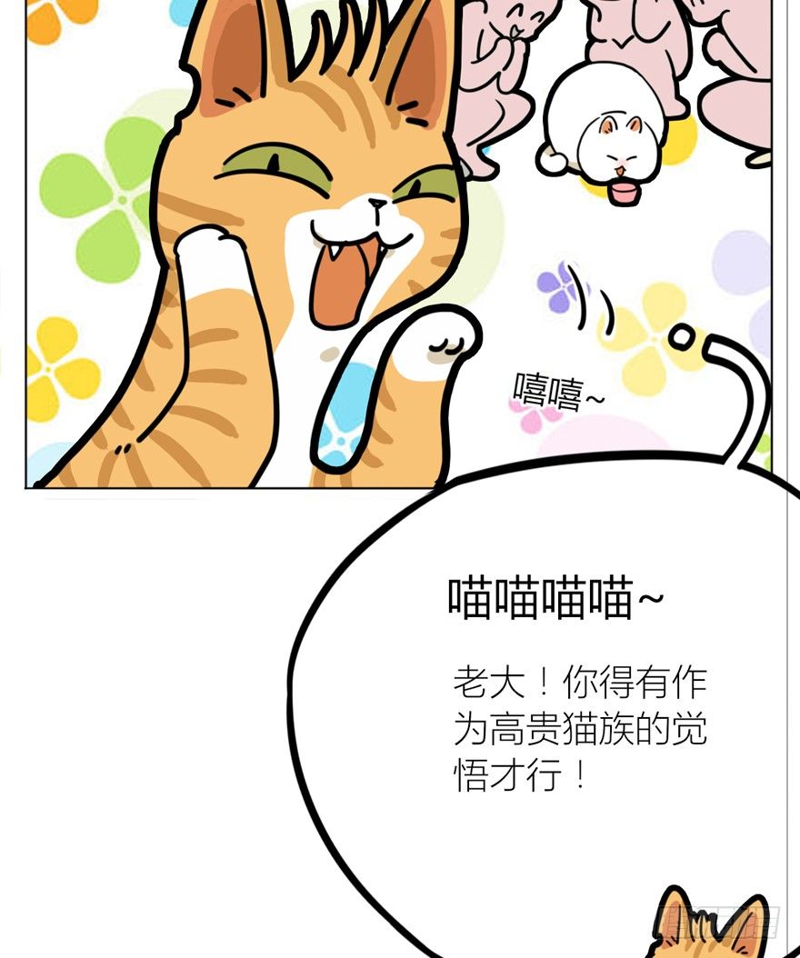 回到过去变成猫外传 - 第29爪 猫圈鄙视链（下） - 5