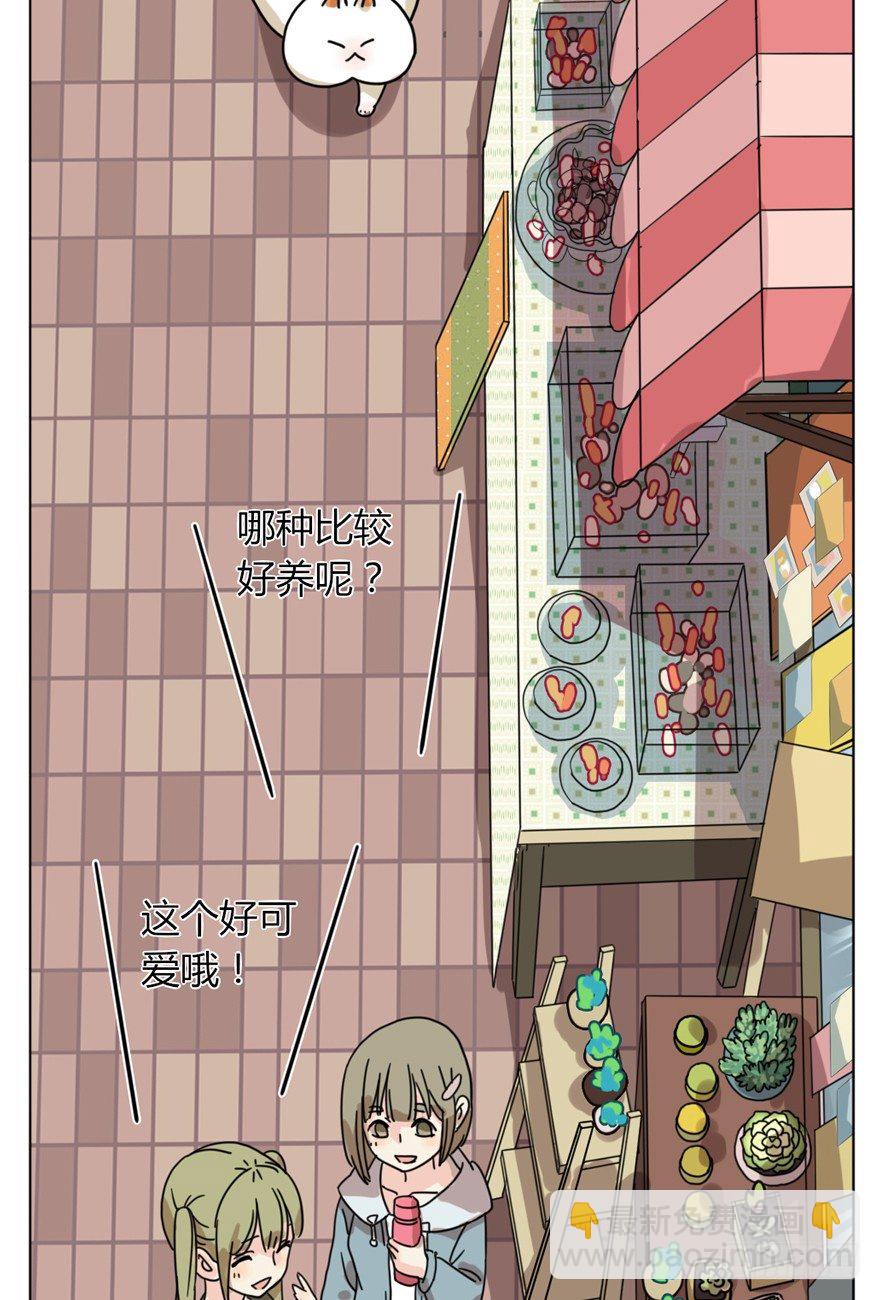 第29爪 猫圈鄙视链（下）-第29话