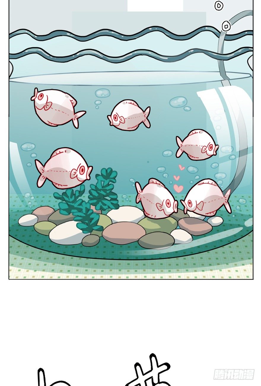 第29爪 猫圈鄙视链（下）-第29话