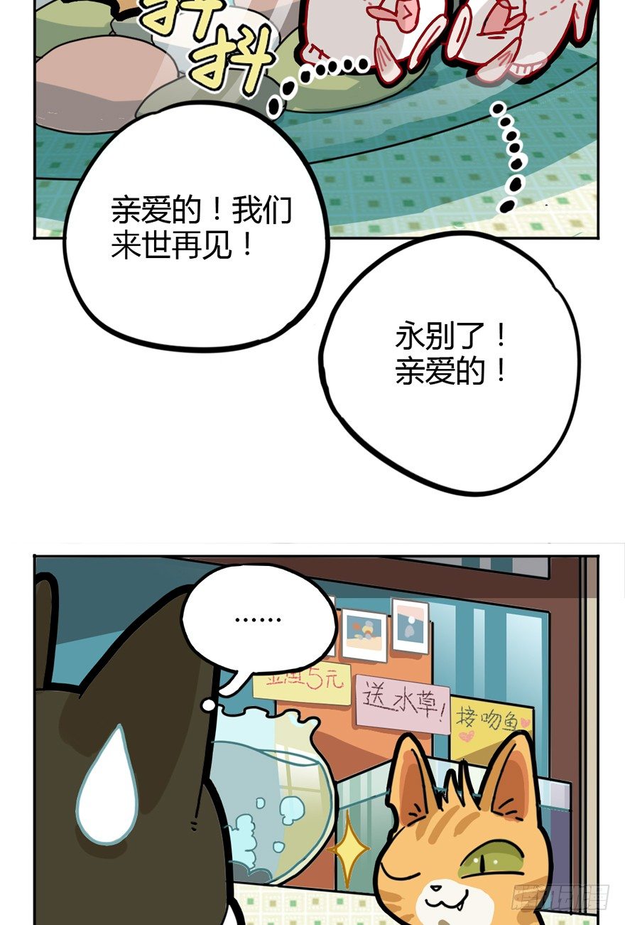 第29爪 猫圈鄙视链（下）-第29话