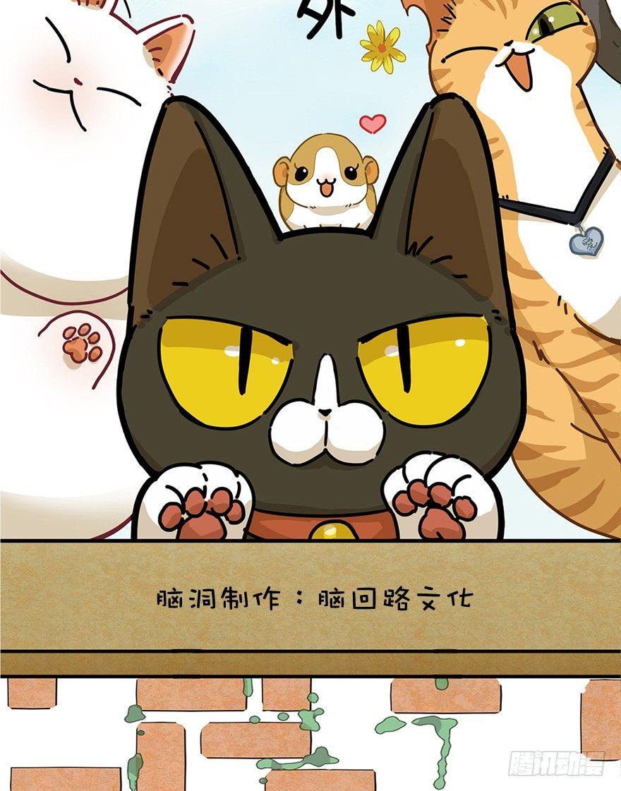 第31爪 活学活用（上）-第31话