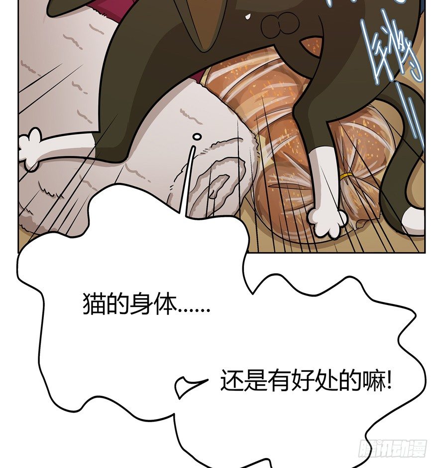 第31爪 活学活用（上）-第31话