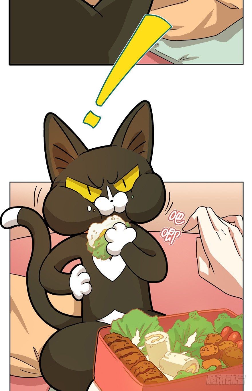 第33爪 火箭徽章-第33话