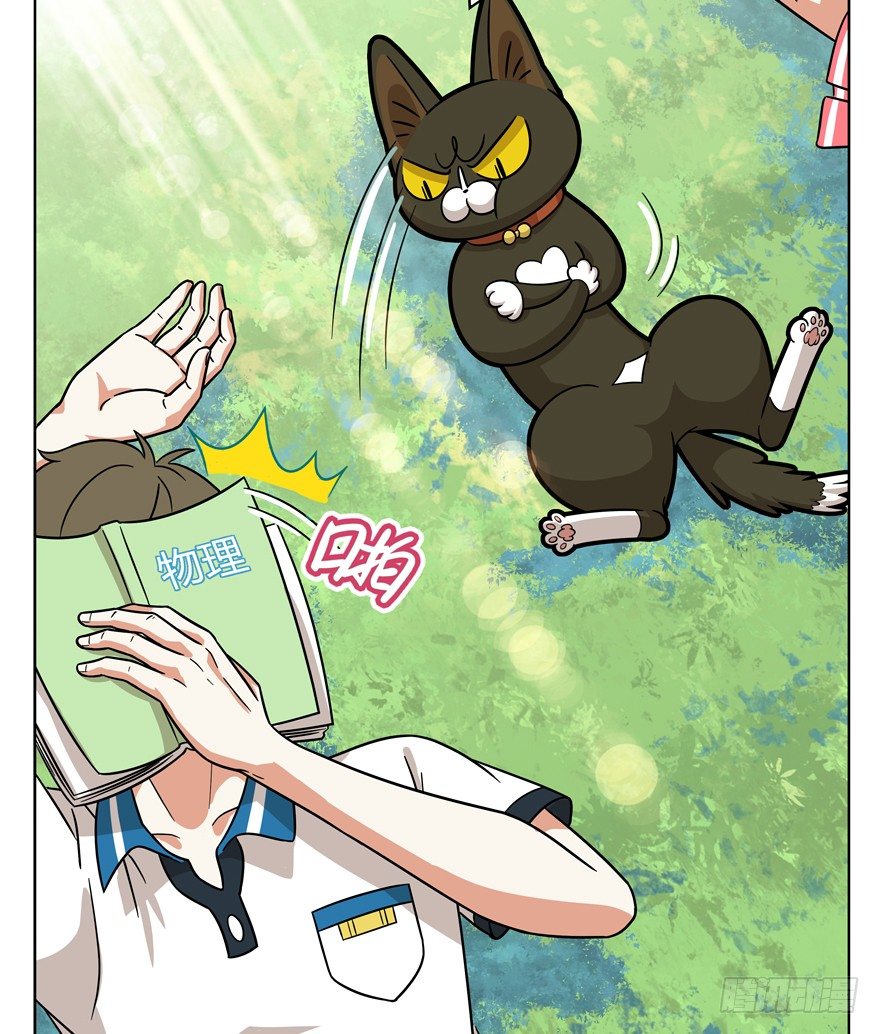 第39爪 那日初心动(1/2)-第39话