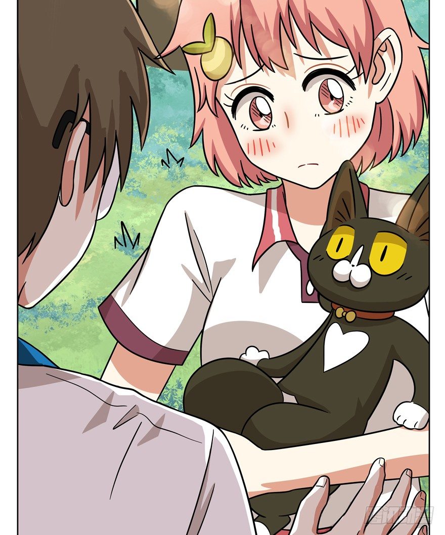 第39爪 那日初心动(1/2)-第39话