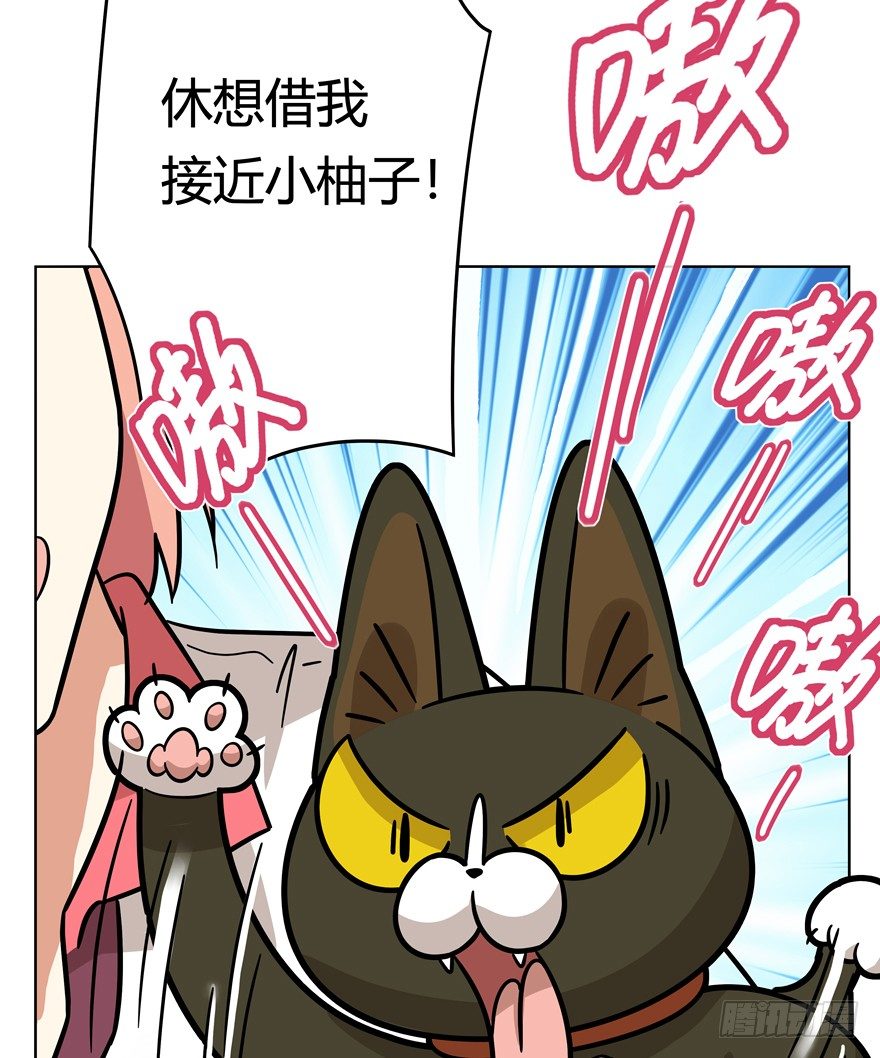 第39爪 那日初心动(1/2)-第39话