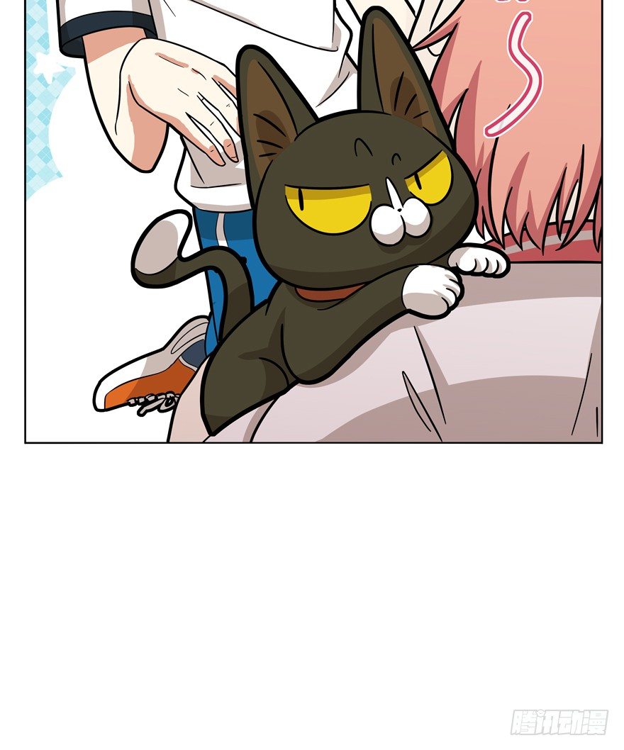 第39爪 那日初心动(1/2)-第39话