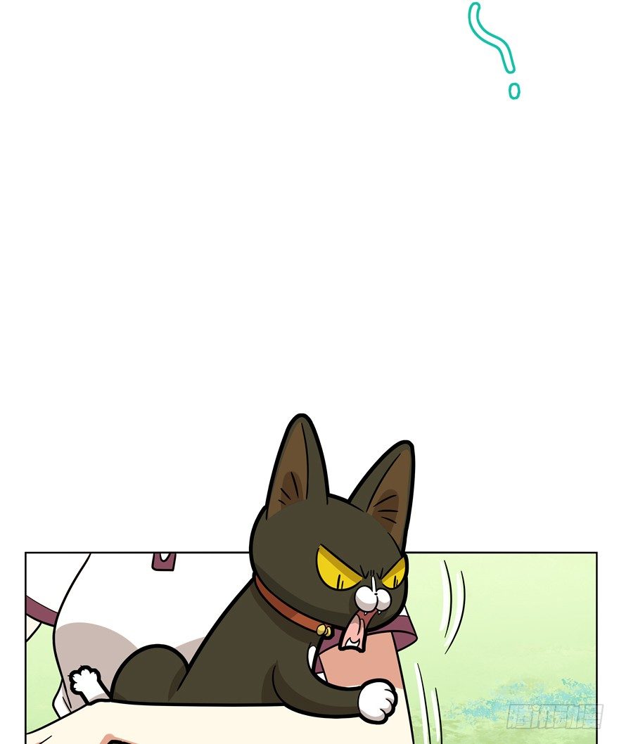 第39爪 那日初心动(1/2)-第39话