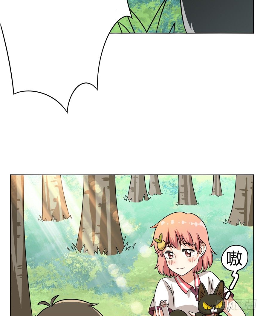 第39爪 那日初心动(1/2)-第39话