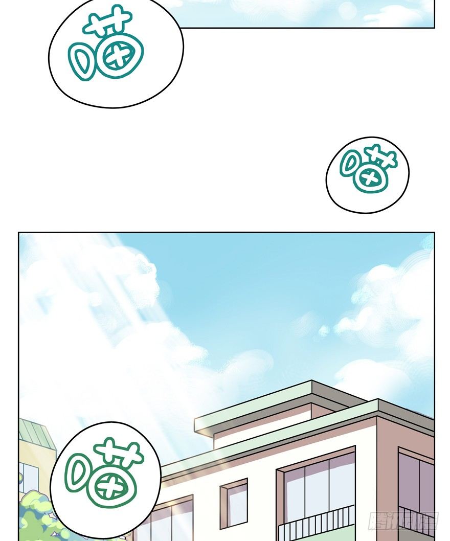 第39爪 那日初心动(1/2)-第39话