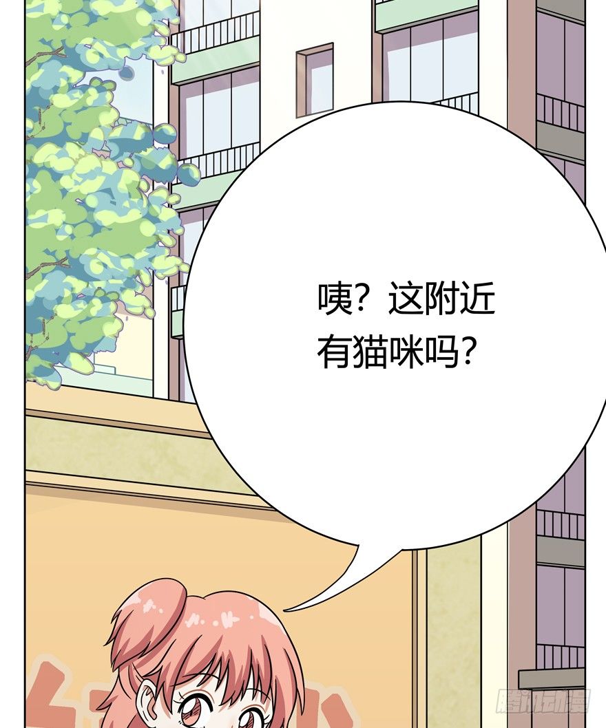 第39爪 那日初心动(1/2)-第39话