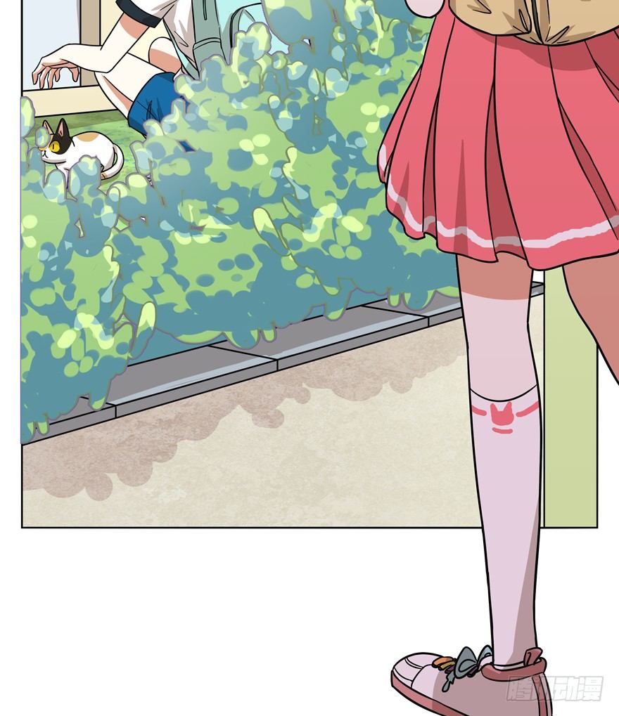 第39爪 那日初心动(1/2)-第39话