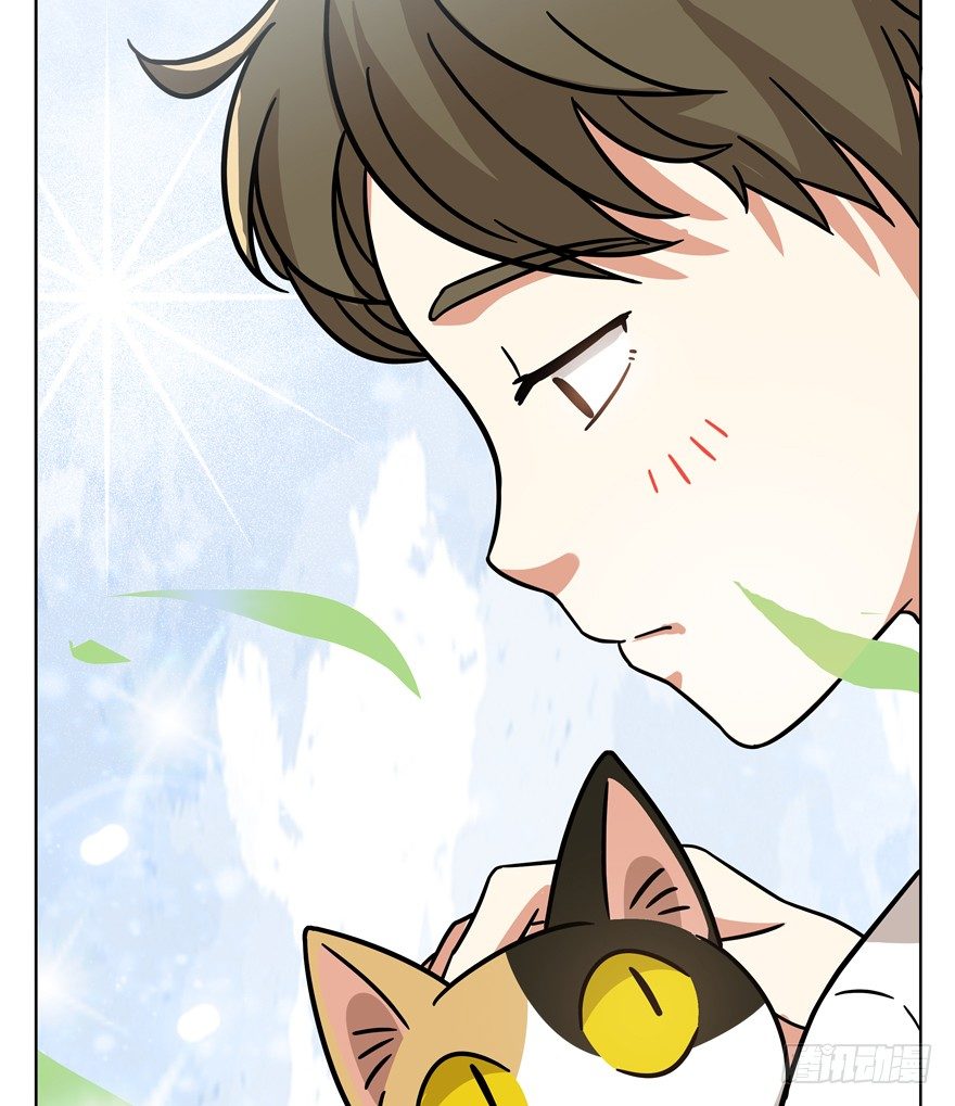 第39爪 那日初心动(1/2)-第39话