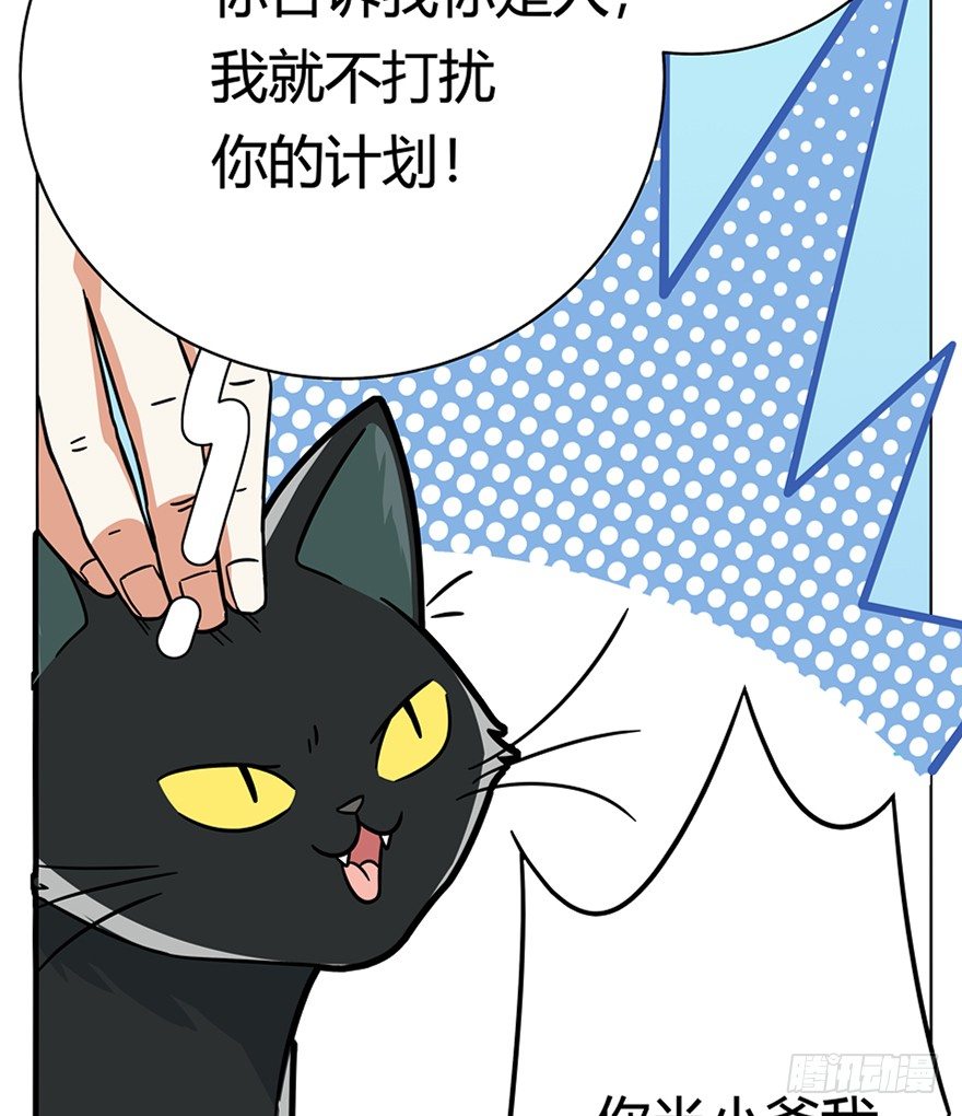 第39爪 那日初心动(1/2)-第39话