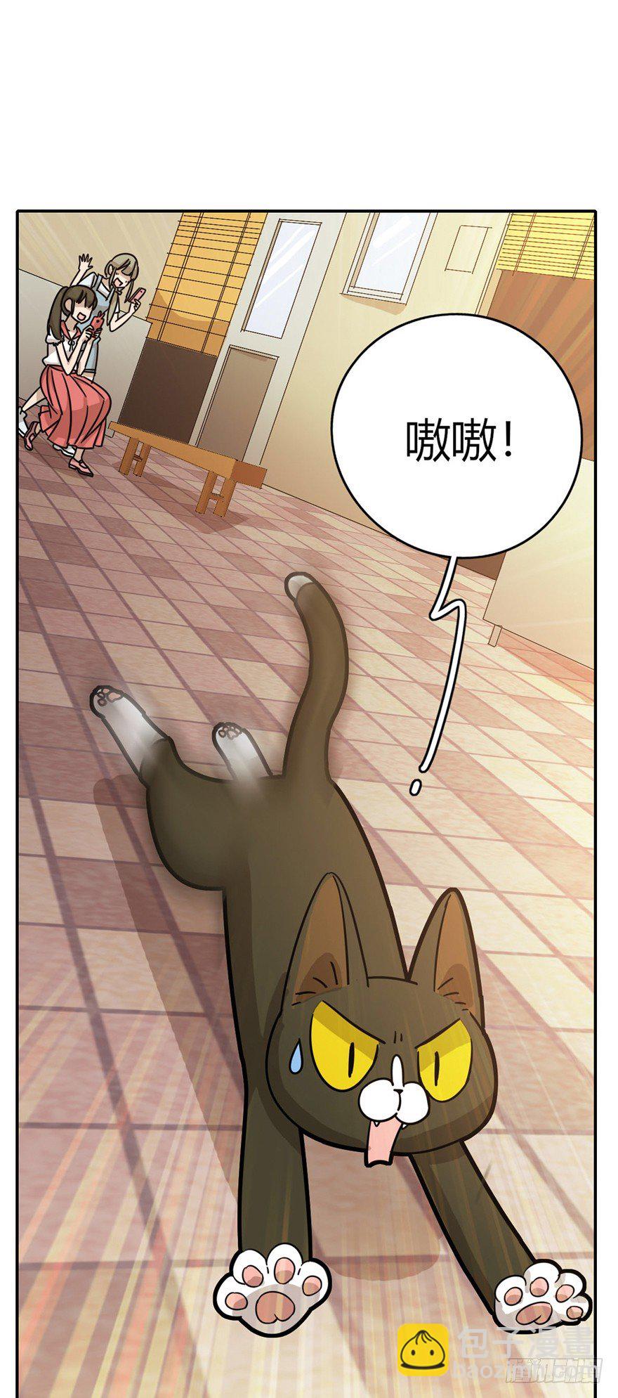 第5爪 似是故人来（上）-第5话