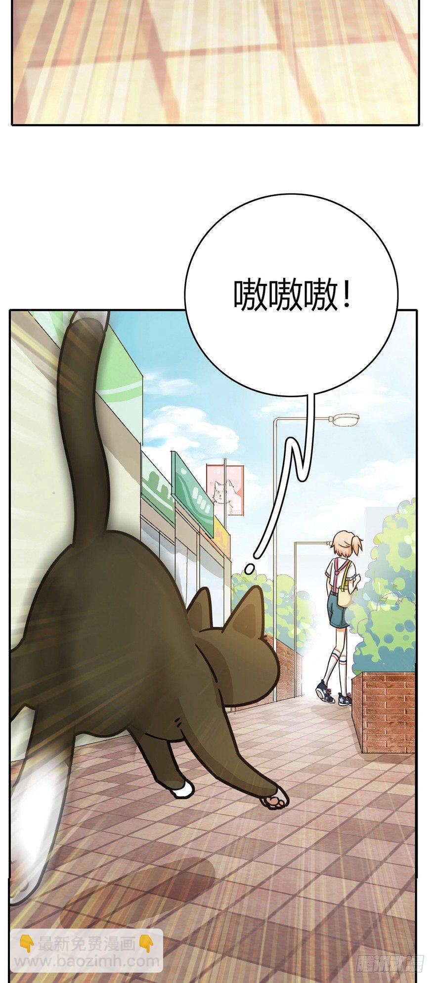 第5爪 似是故人来（上）-第5话