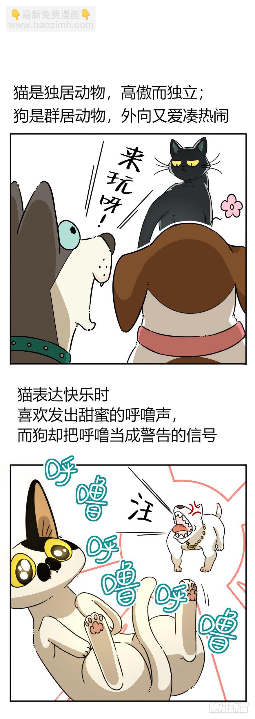 第41爪 外来户（下）-第41话