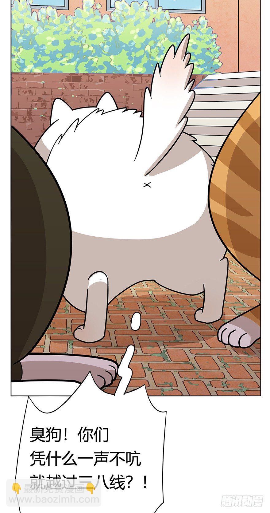 第41爪 外来户（下）-第41话