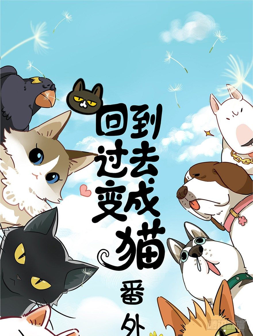 新年番外四 大开眼界（上）-第45话