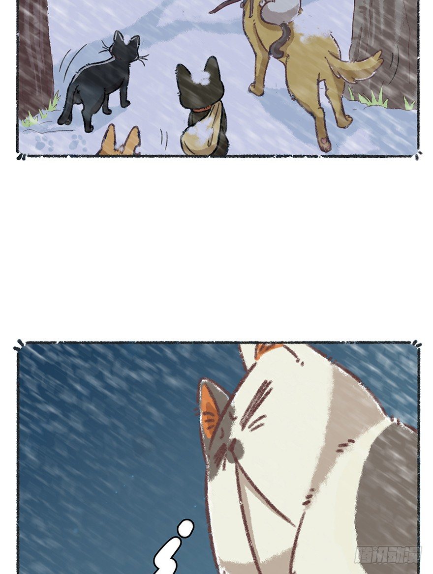 新年番外四 大开眼界（上）-第45话