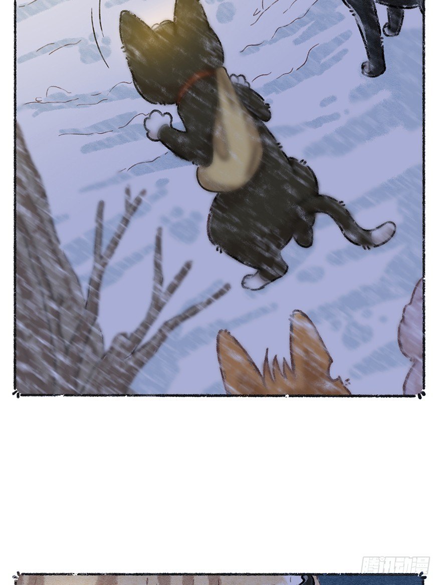 新年番外四 大开眼界（上）-第45话