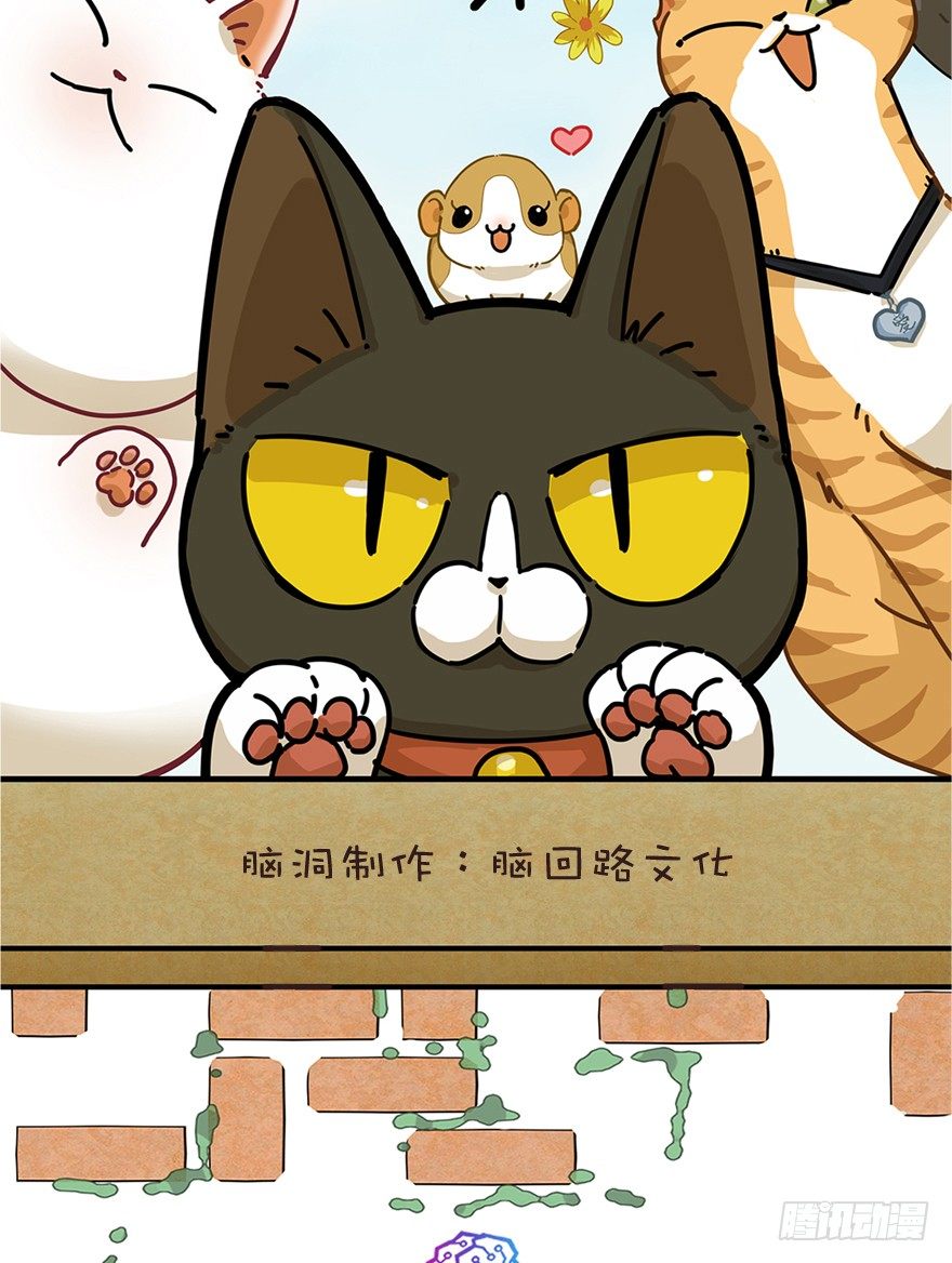 新年番外四 大开眼界（上）-第45话