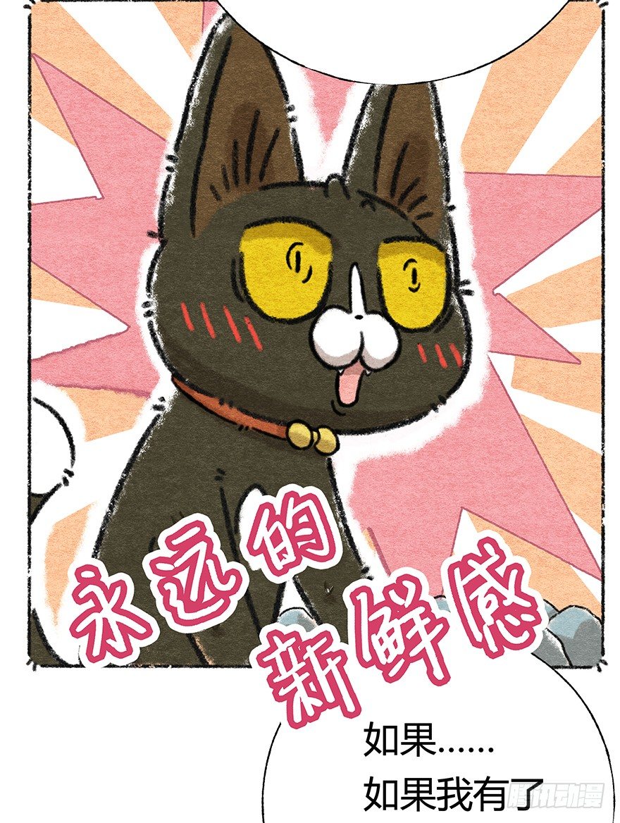 回到过去变成猫外传 - 新年番外四 大开眼界（上） - 3