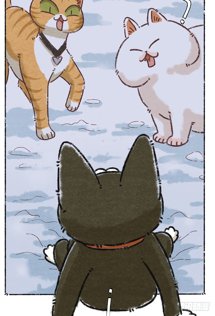 新年番外六 有你在真好-第47话