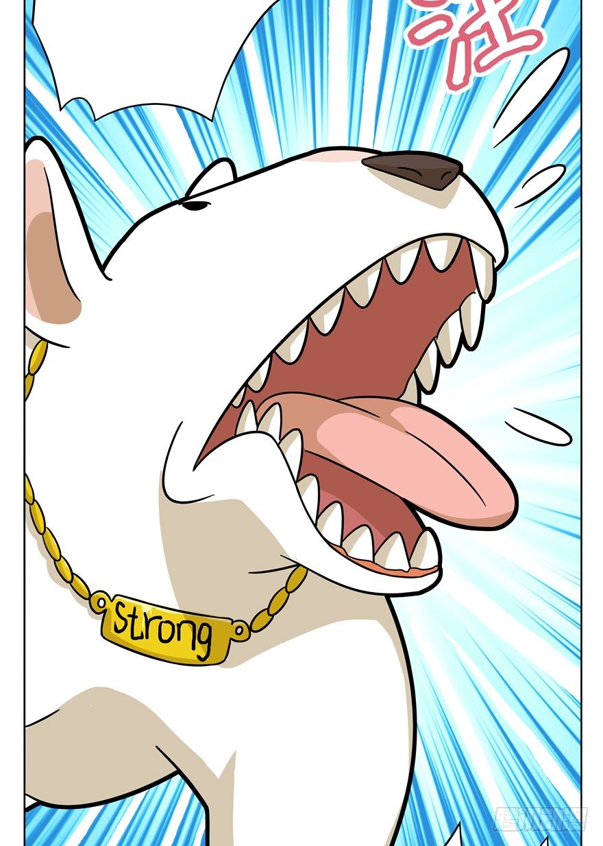 第43爪 想不到的结局（下）-第49话