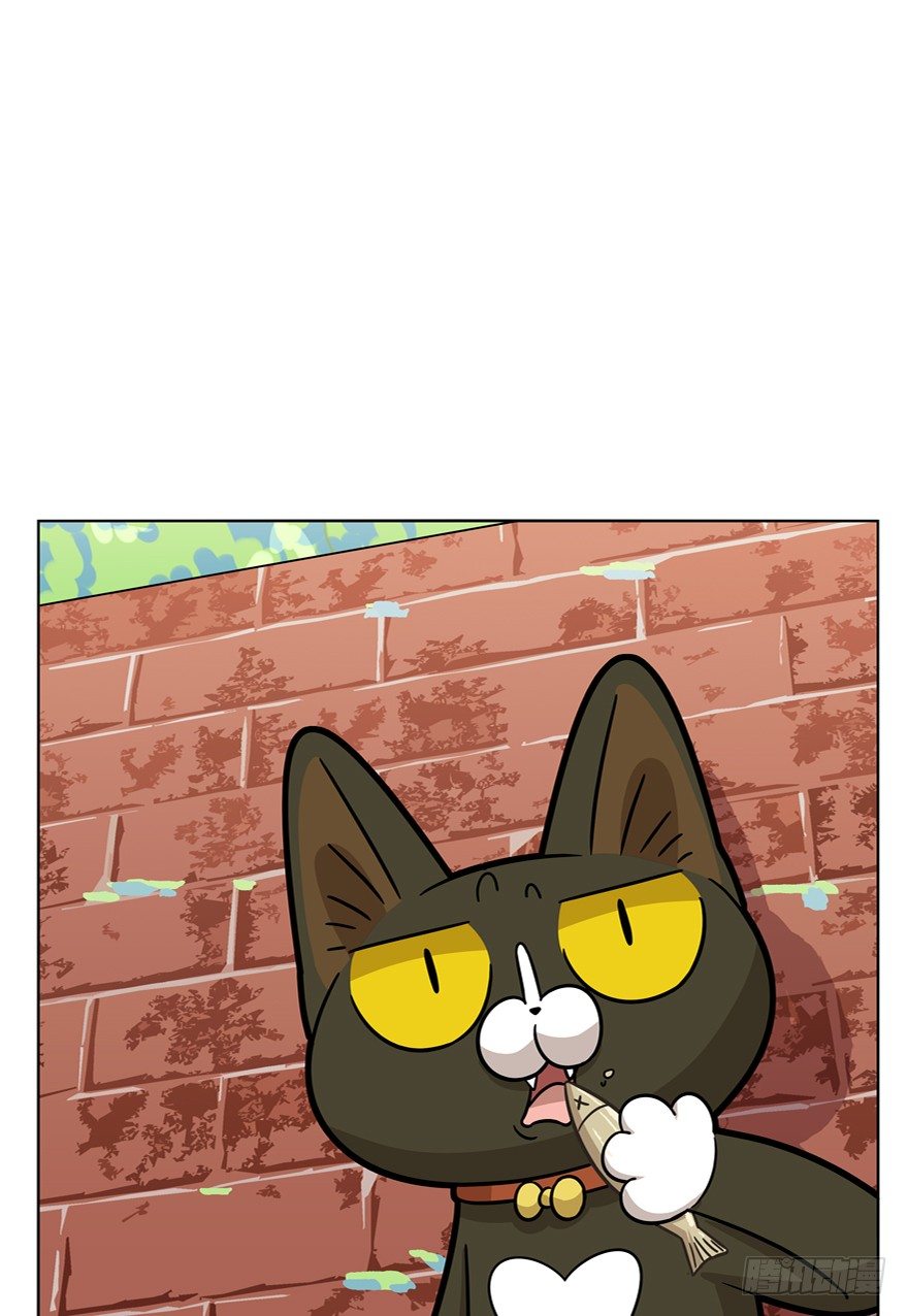 第43爪 想不到的结局（下）-第49话