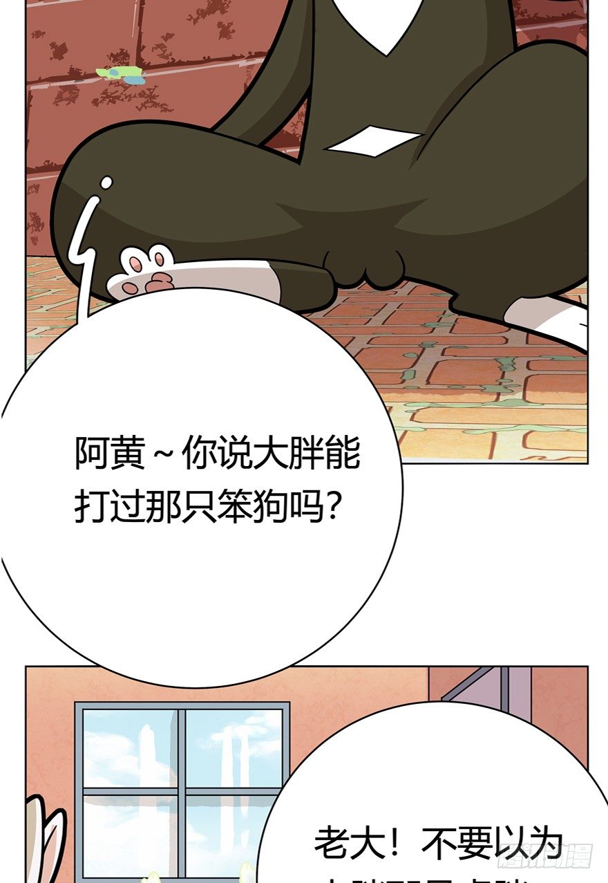 第43爪 想不到的结局（下）-第49话