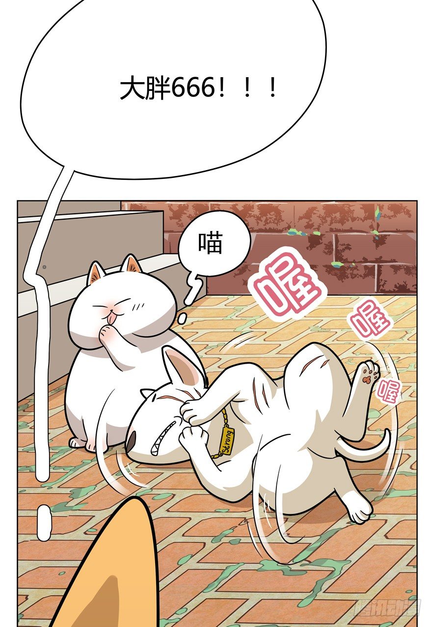 第43爪 想不到的结局（下）-第49话