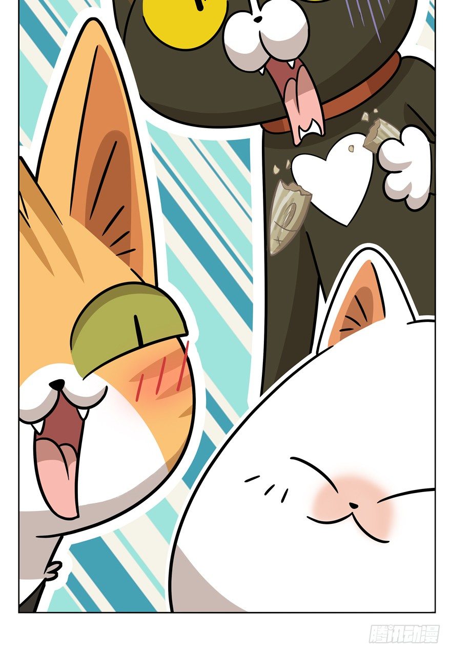 第43爪 想不到的结局（下）-第49话