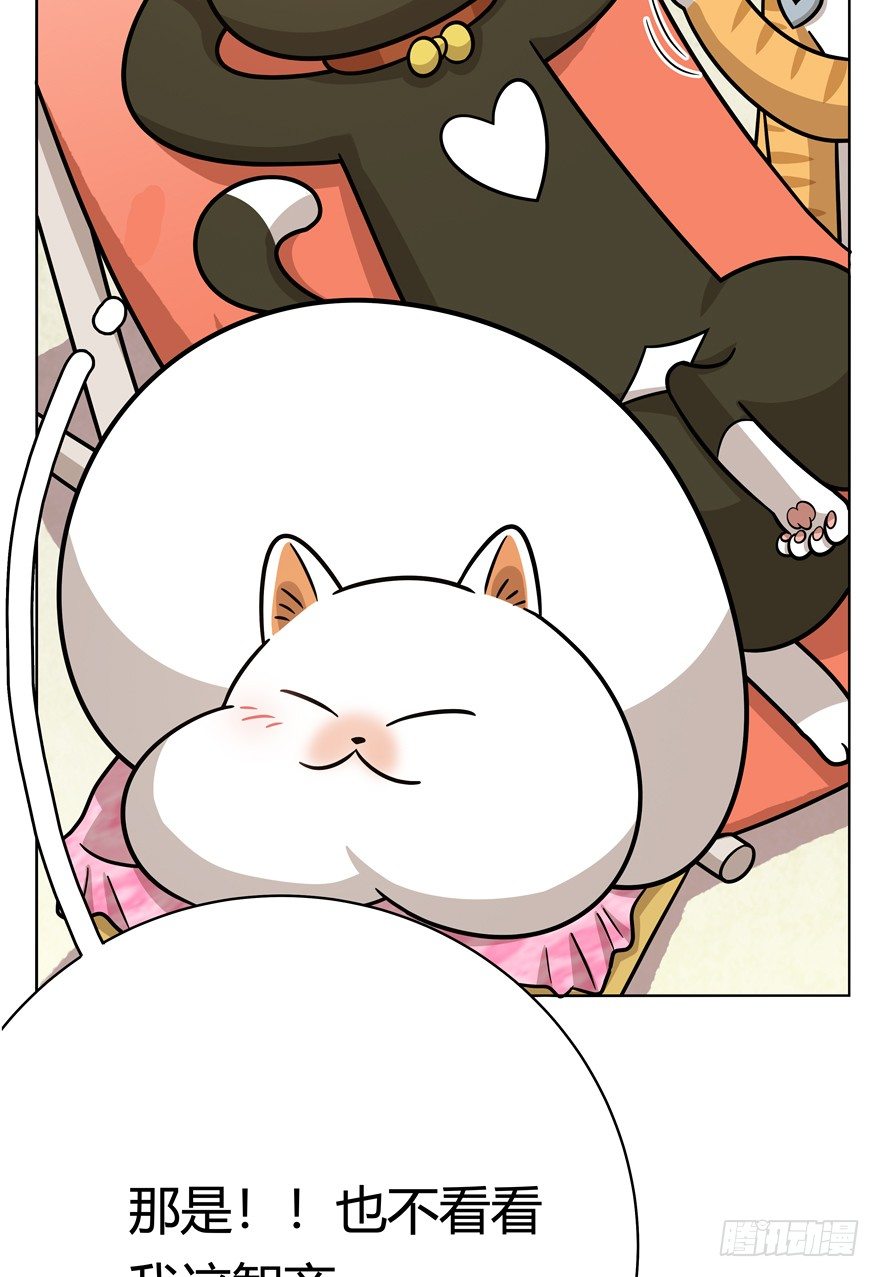 第43爪 想不到的结局（下）-第49话