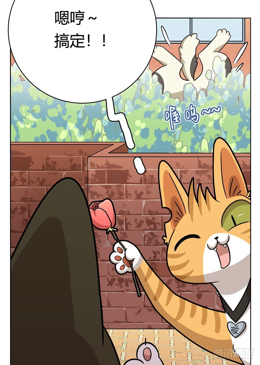 第43爪 想不到的结局（下）-第49话