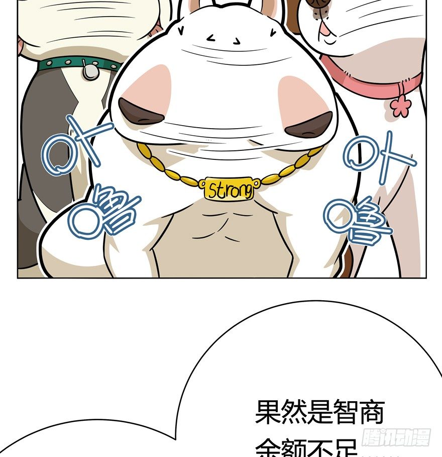 第45爪 夜幕下的阴谋（下）-第51话