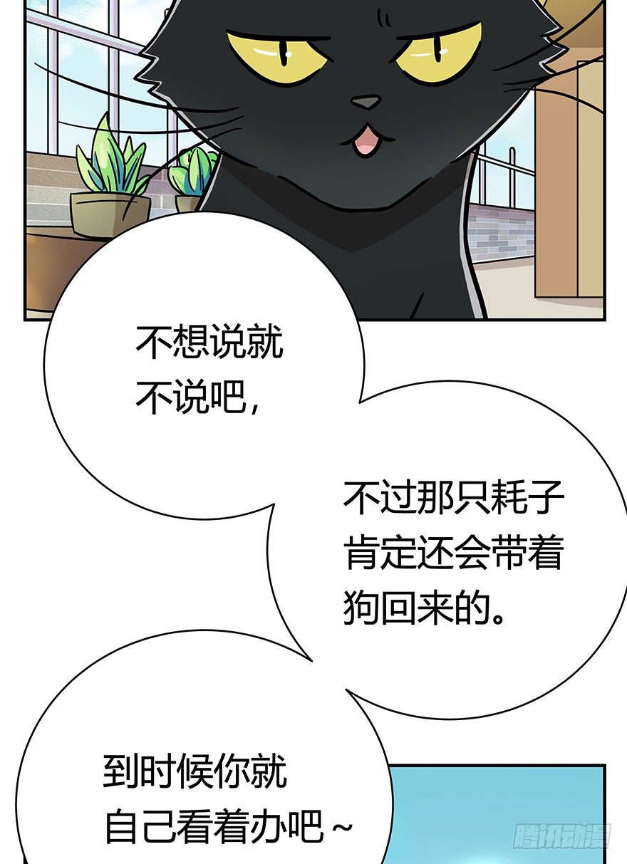 第49爪 狐假虎威-第55话