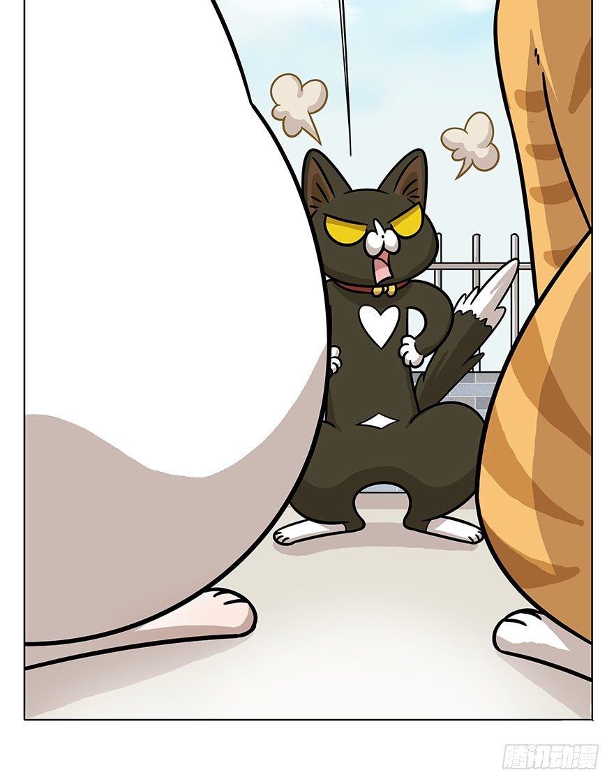 第49爪 狐假虎威-第55话