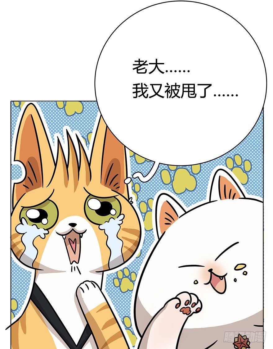 第49爪 狐假虎威-第55话