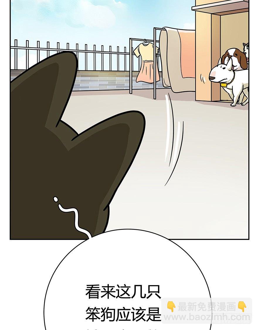 第49爪 狐假虎威-第55话