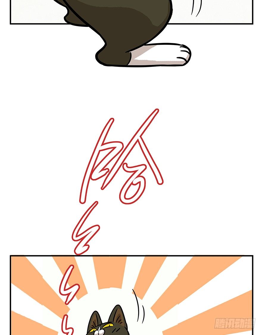 第49爪 狐假虎威-第55话